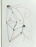 Rebecca Shirin Jafari: Joonam