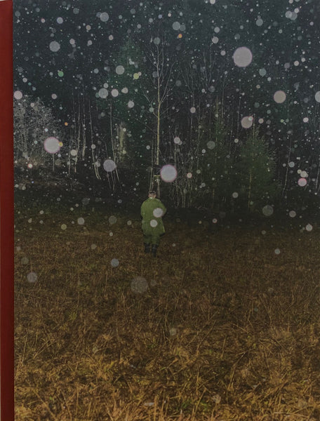 Joey Judita Abrait: Sanctuary