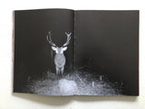 Joey Judita Abrait: Sanctuary