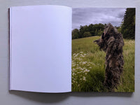 Joey Judita Abrait: Sanctuary