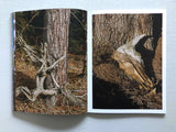 Joey Judita Abrait: Sanctuary