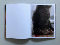 Joey Judita Abrait: Sanctuary