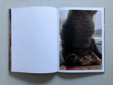 Joey Judita Abrait: Sanctuary