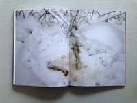 Joey Judita Abrait: Sanctuary