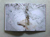 Joey Judita Abrait: Sanctuary