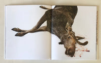Emil Malmborg: Silent Fauna