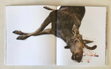 Emil Malmborg: Silent Fauna