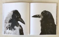 Emil Malmborg: Silent Fauna