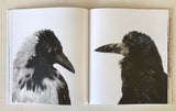 Emil Malmborg: Silent Fauna