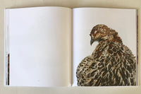 Emil Malmborg: Silent Fauna