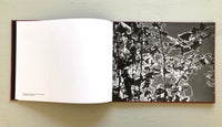 Hendrik Zeitler: Abiskograms