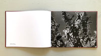 Hendrik Zeitler: Abiskograms