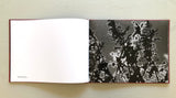 Hendrik Zeitler: Abiskograms