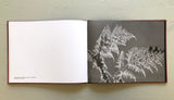 Hendrik Zeitler: Abiskograms