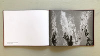 Hendrik Zeitler: Abiskograms