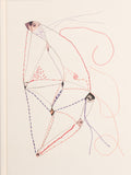 Rebecca Shirin Jafari: Joonam